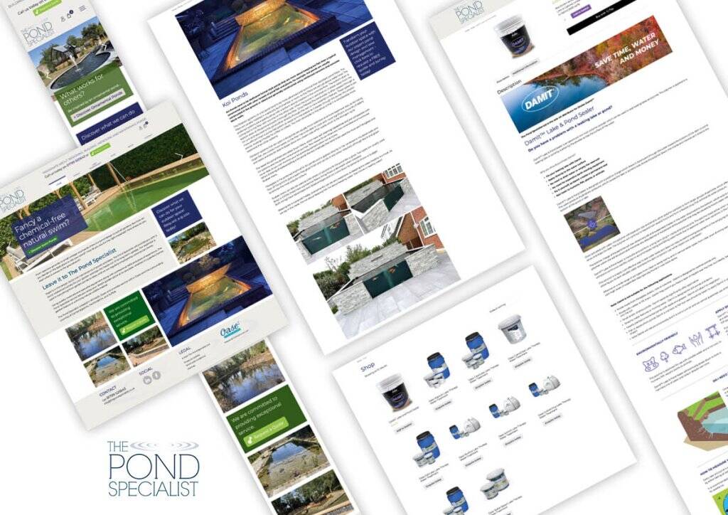 brand identity and website design specialists